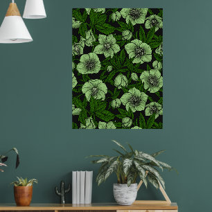 Póster Hellebores blancos con hojas