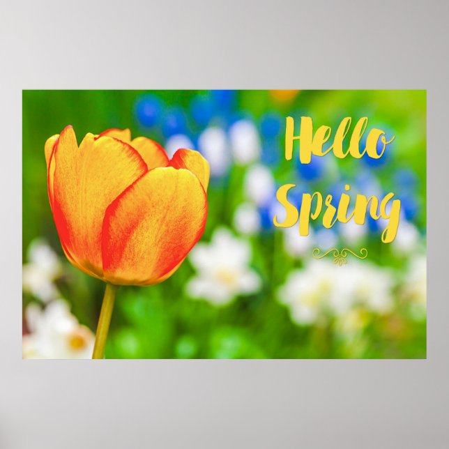Póster Hello Spring! (Frente)