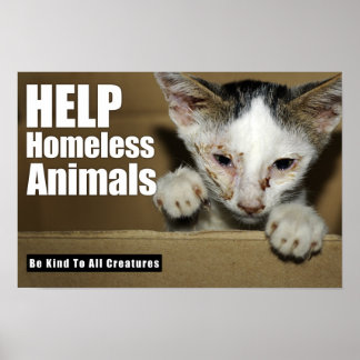 Póster Help Homeless Animal Poster