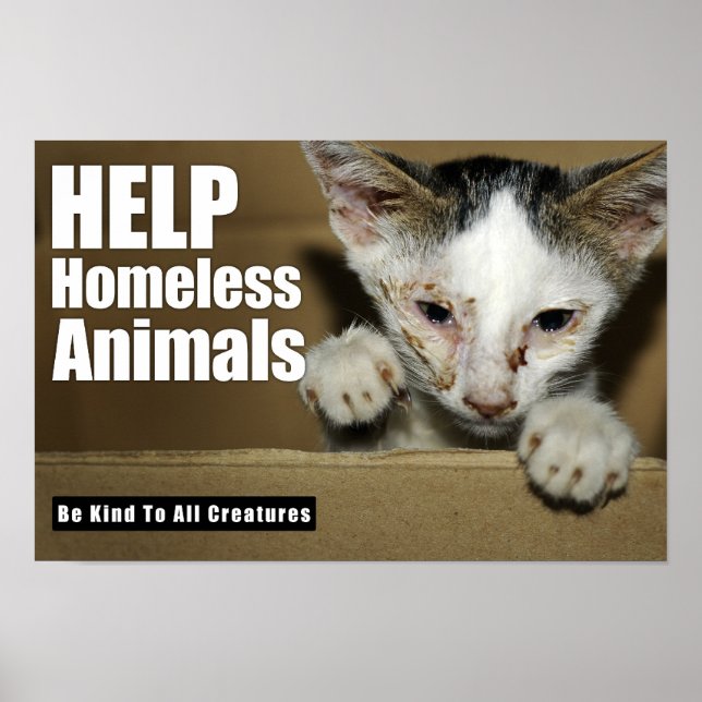 Póster Help Homeless Animal Poster (Frente)