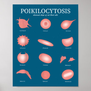 Póster Hematología Laboratorio de células rojas de la cie