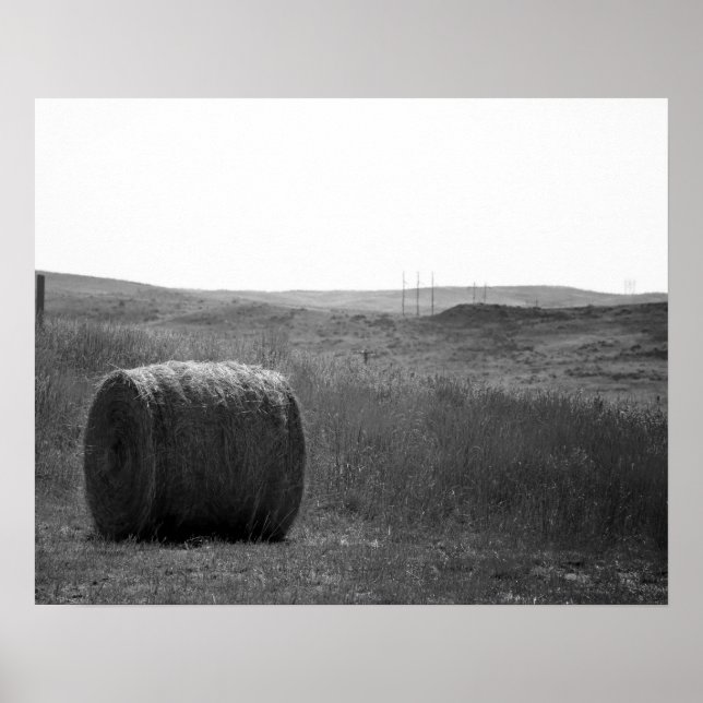 Póster Heno blanco y negro en un campo Wyoming 16x20 (Frente)