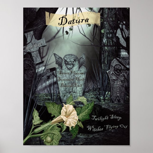 PÓSTER HERB DE DATURA WITCH (Frente)