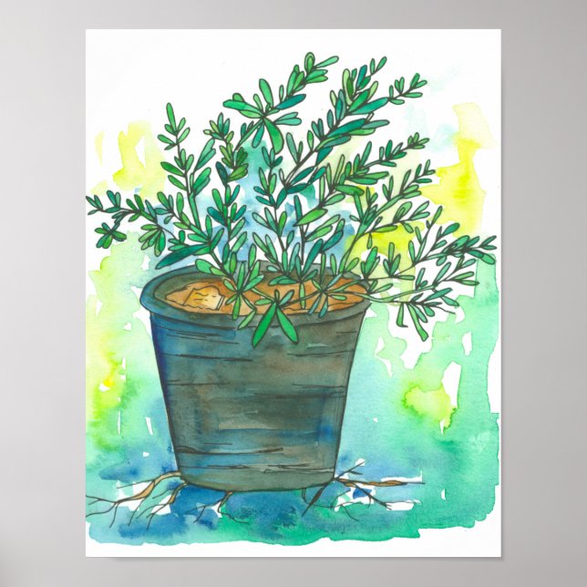 Póster Herb Garden Rosemary (Frente)