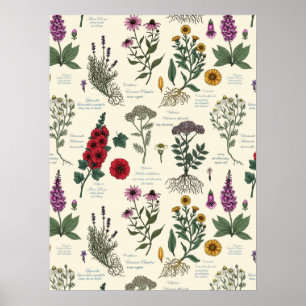 Póster Herbario de jardín medicinal sobre blanco apagado