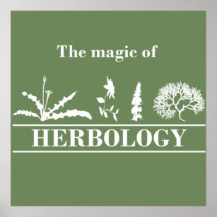 Póster herbology
