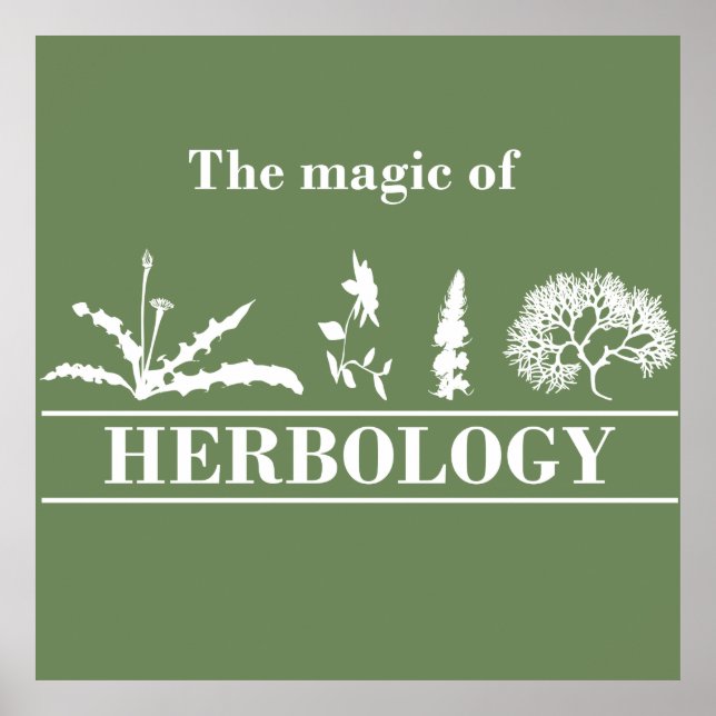 Póster herbology (Frente)