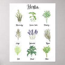 Herbs Watercolor Sage Thyme Rosemary Kitchen