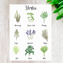 Herbs Watercolor Sage Thyme Rosemary Kitchen