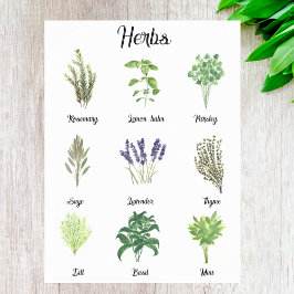 Póster Herbs Watercolor Sage Thyme Rosemary Kitchen