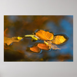 Póster Herbstblätter im See