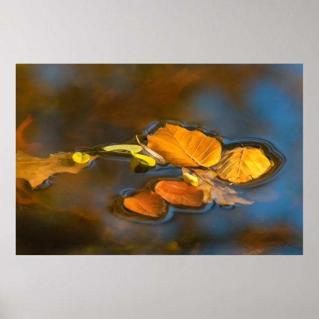 Póster Herbstblätter im See (Frente)