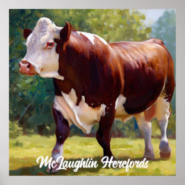 Póster Hereford Bull