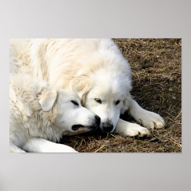 Póster Hermanas (Frente)