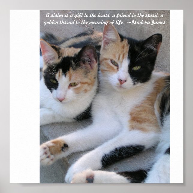 Póster Hermanas (Frente)