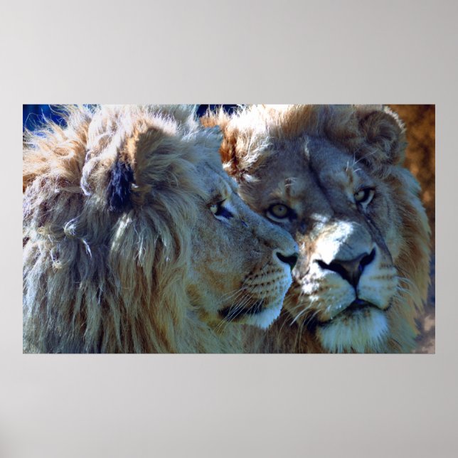 Póster Hermanos (Frente)