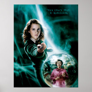Póster Hermione Granger and Professor Umbridge