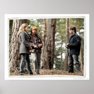 Póster Hermione, Ron y Harry 2