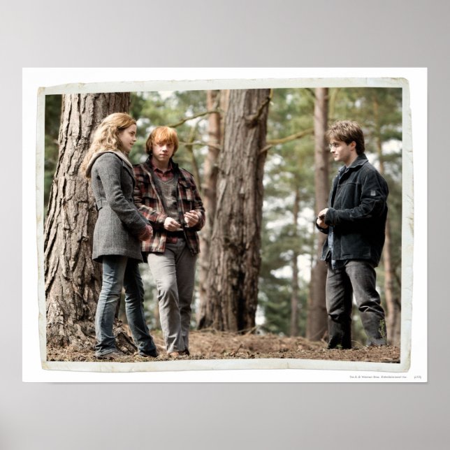 Póster Hermione, Ron y Harry 2 (Frente)