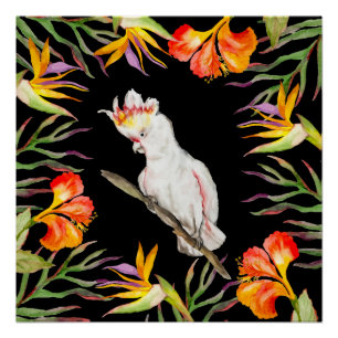 Póster Hermosa acuarela cacatau loro dibujo a mano