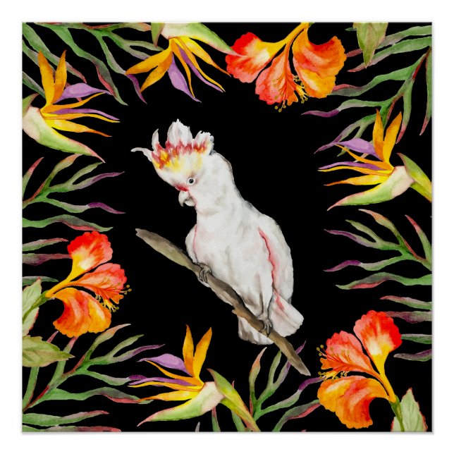 Póster Hermosa acuarela cacatau loro dibujo a mano (Anverso)