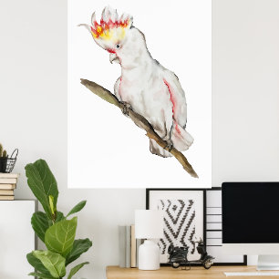 Póster Hermosa acuarela cacatúa dibujo a mano de loro