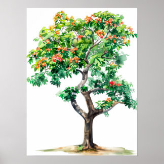 Póster Hermosa acuarela de árbol ceiba de Bombax