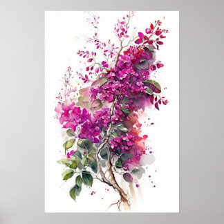 Póster Hermosa acuarela de Bougainvillea