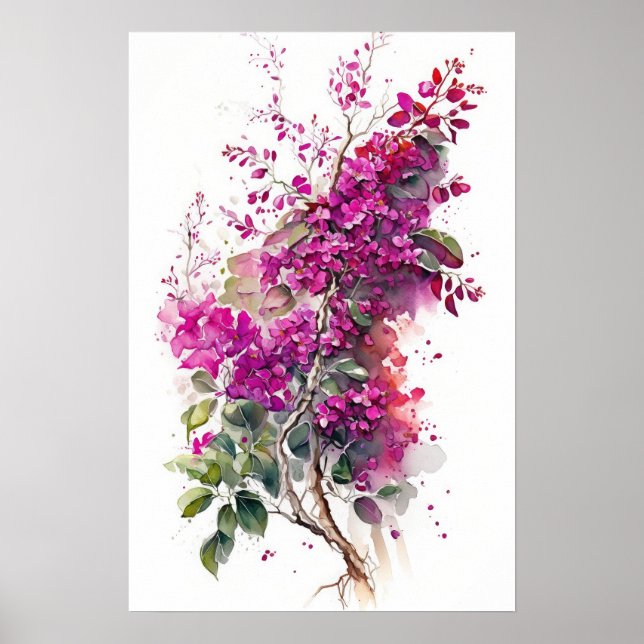Póster Hermosa acuarela de Bougainvillea (Frente)