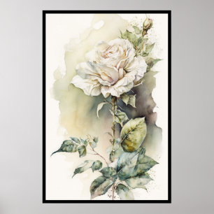 Póster Hermosa acuarela rosa blanca