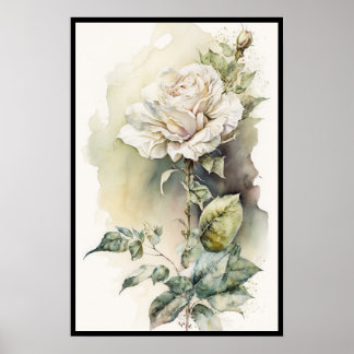Póster Hermosa acuarela rosa blanca