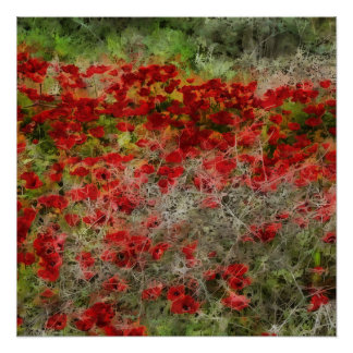 Póster Hermosa anémona de flores silvestres rojas abstrac