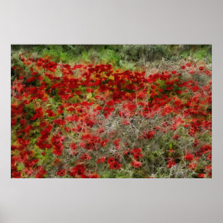 Póster Hermosa anémona de flores silvestres rojas abstrac
