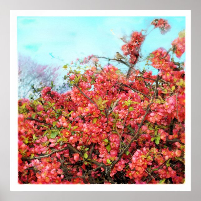 Póster Hermosa canción, poster (Frente)