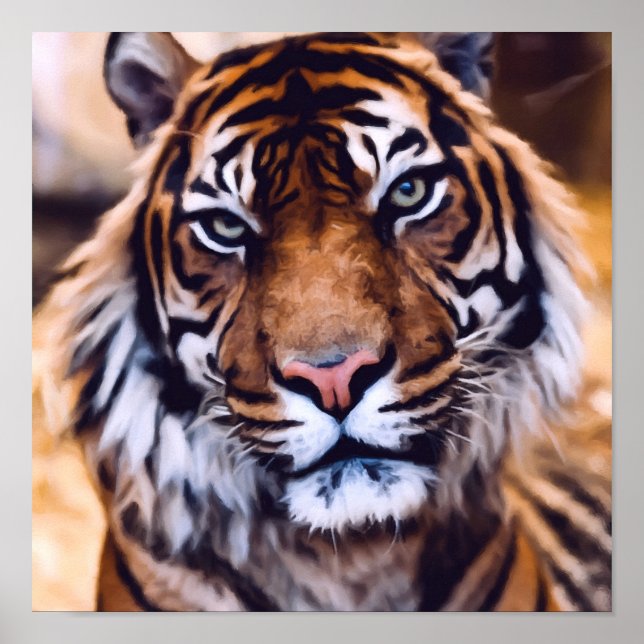 Póster Hermosa cara de gato de tigre pintada de vida salv (Frente)