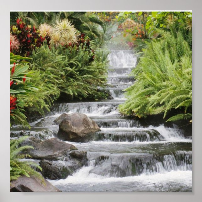Póster hermosa cascada (Frente)