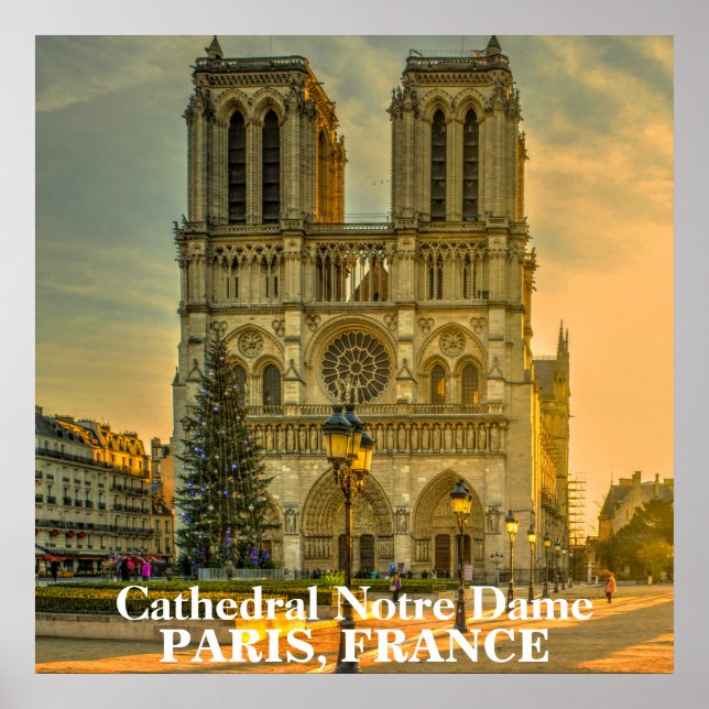 Póster Hermosa Catedral de Notre Dame París Francia (Frente)
