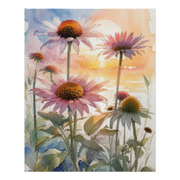 Hermosa Coneflower