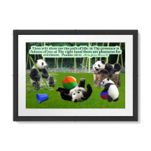 Hermosa Escritura Panda: Salmos 16:11