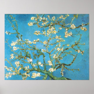 Póster Hermosa flor de almendras pintura antigua azul gre