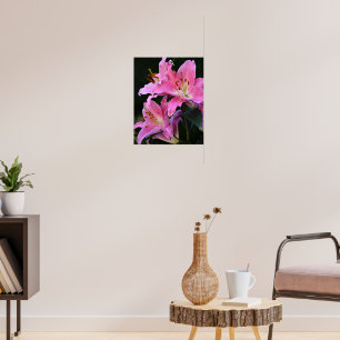 Póster Hermosa Flor de Lirio Rosa