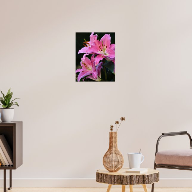 Póster Hermosa Flor de Lirio Rosa (Salón 3)