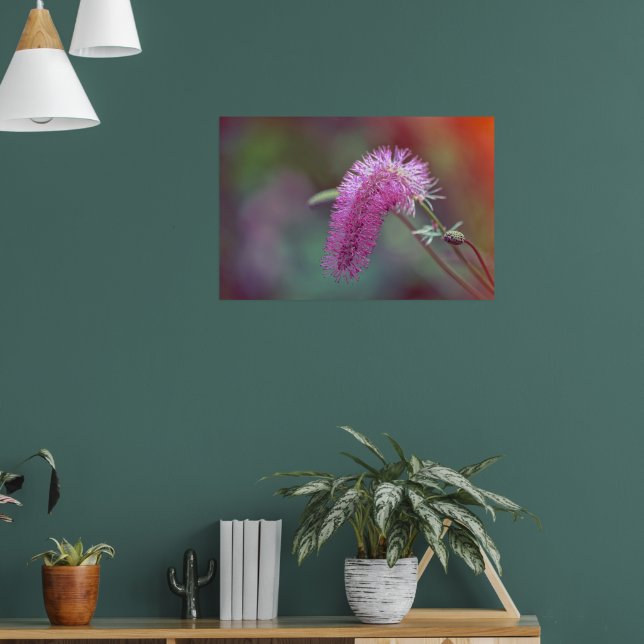 Póster Hermosa flor de prado (Salón 1)