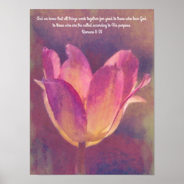 Póster Hermosa flor de tulipán: Biblia contra Poster (Frente)