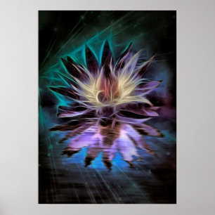 Póster Hermosa Flor Lotus
