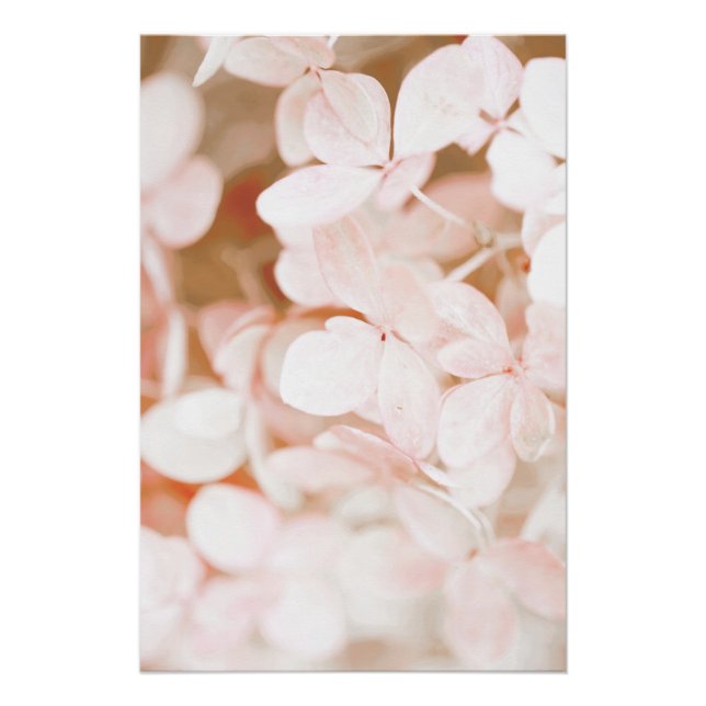 Póster Hermosa flor rosa claro Flor floral (Anverso)