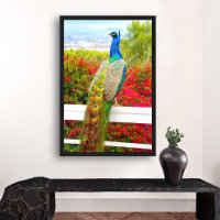 Hermosa foto verde azul pavo real con estilo moder
