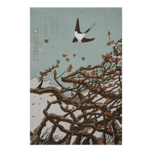 Póster Hermosa golondrina japonesa