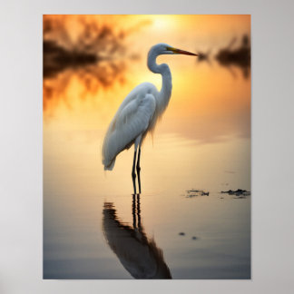 Póster Hermosa hierba blanca sola en el amanecer