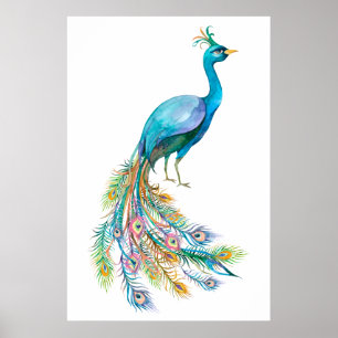 Póster Hermosa ilustración de pavo real azul en acuarela
